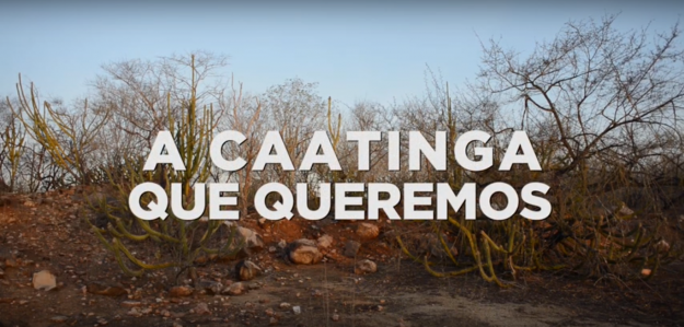 A caatinga que queremos